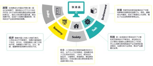 數字心智運營 把握時代機遇，論中國快消品企業D2C轉型趨勢及北京企業網站開發與運營